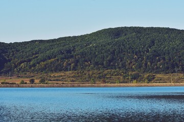 green forest reflected in the lake in summer