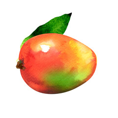 Ripe mango with green leaf, closeup, whole exotic fruit isolated, hand drawn watercolor illustration on white background