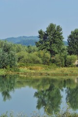 Fototapeta na wymiar green forest reflected in the lake in summer