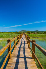 Obraz premium Wooden path in nature park Vrana lake (Vransko jezero), Dalmatia, Croatia, beautiful landscape in summer