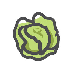 Green Cabbage Vegetable Vector icon Cartoon illustration.