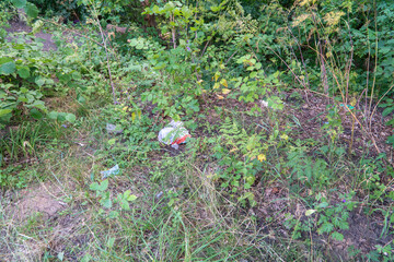 Plastic cup, bag and fork under bush on the glade of the forest.  One example of pollution earth by humans activity. Horizontal photo, copy space and green natural background.