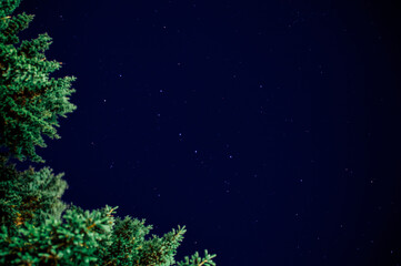 Fototapeta na wymiar christmas tree and stars