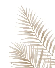 Poster Beige dried palm leaves. Tropical fronds. Watercolour illustration isolated on white background. © Anna