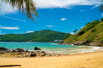 Fototapeta na wymiar Palm coconut tree on sea beach white sand blue sky