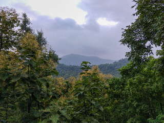Landscape view of a blurry mountain in distance through the jungle at evening time in rainy season with black cloudy sky