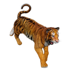 3D Rendering Big Cat Tiger on White