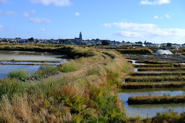 Fototapeta na wymiar The slated marshes of Guerande. In the west part of France. (July 2020, Batz sur mer)
