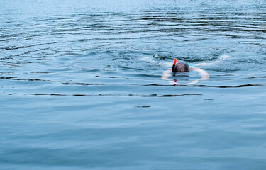 Man swimming in the sea wearing a mask.
