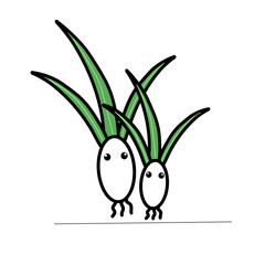 Spring onion vector