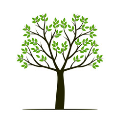 Shape of Tree with leaves, fruits and Roots. Vector outline Illustration. Plant in Garden.