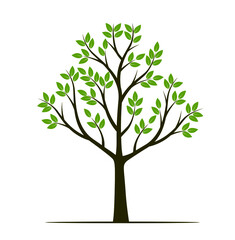 Obraz premium Shape of Tree with leaves, fruits and Roots. Vector outline Illustration. Plant in Garden.