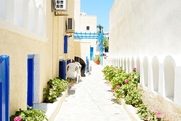 beautiful narrow alley of Santorini island in Greece, Europe