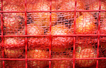 Onions lie in a grid on a bazaar in a metal box. Agriculture, close-up.