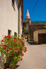 Fototapeta na wymiar A lane in Podnanos, a village in the upper Vipava Valley in the Municipality of Vipava in the Primorska region of Slovenia. The bell tower of the parish church of Saint Vitus is in the background