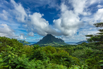 Le rotui vu du Belvédère de Moorea
