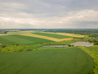 Fototapeta na wymiar Aerial drone view. A field of ripening wheat and corn in Ukraine near the lake.