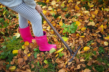 A girl in rubber boots holds a rake and rakes the fallen leaves.