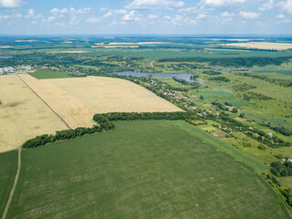 Fototapeta na wymiar Fields of ripening wheat and corn in Ukraine. Aerial drone view.