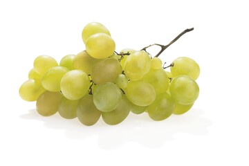 White Grape Cluster
