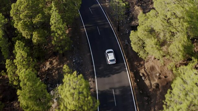 Drone view of a cars driving at high speed through pine forest in Teide National Park, Tenerife, Canary Islands