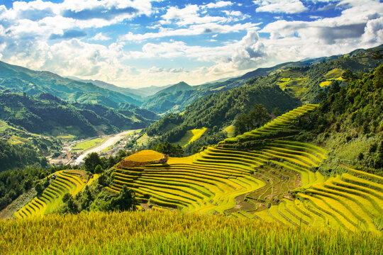 mu cang chai in viet nam