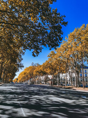 Calles de Versalles, Paris en oto&ntilde;o 