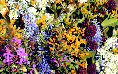 Summer bouquet of wild field flowers from the meadow. Beautiful florals on sunny day.