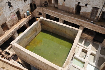 Tanner and the dye pots at leather tanneries in Fez, Morocco