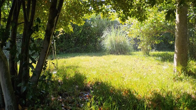 morning in the park © oraziopuccio