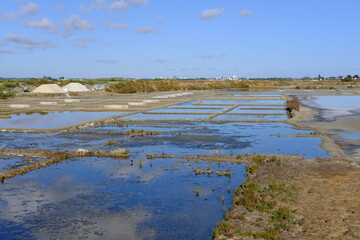 The slated marshes of Guerande. In the west part of France.
(July 2020, Batz sur mer)