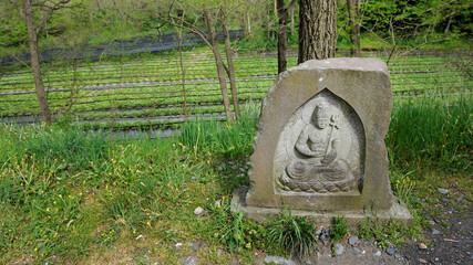 Buddha statues carved from stone located on the walk way.