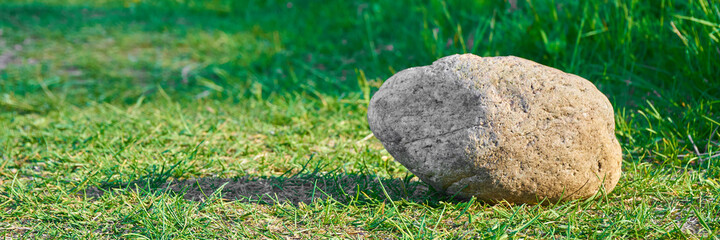 Stone on the green grass  with a shadow 