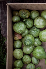 Tomatoes in a cardboard box. Country lifestyle. Fresh air. Healthy eating.