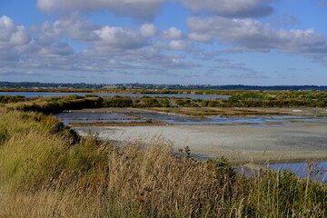 The slated marshes of Guerande. In the west part of France.
(July 2020, Batz sur mer)