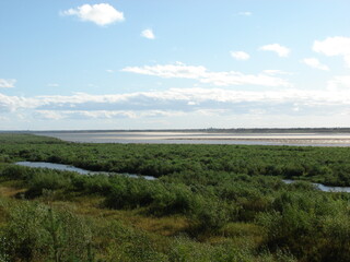 Fototapeta premium view of the river
