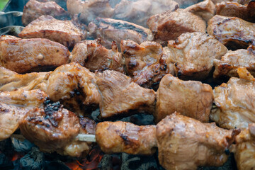 barbecue pork meat on skewers on fire on the grill
