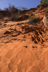 Fototapeta premium Mui Ne / Vietnam - December 29, 2019: Fairy stream, canyon of red-rock cliffs & jungle trees.