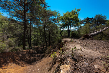 Fototapeta premium Une ancienne carrière d'ocre dans la foret