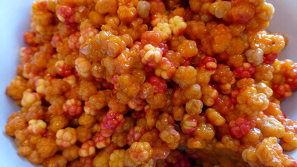 the Northern tundra berry cloudberries