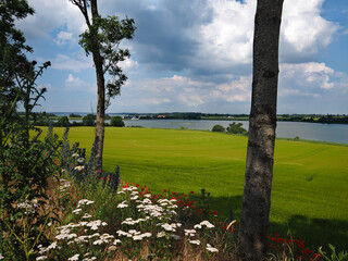Fototapeta na wymiar Beautiful Danish Countryside Landscape Over Rolling Hills with Green Fields