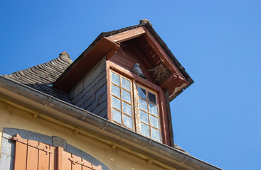 Upper storey with dove and nest outside. Facade of old wooden building. Birds and exterior of old house. Attic window with pigeon. Ancient building on blue sky background. 