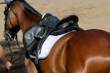 Photo of old leather saddle with stirrups