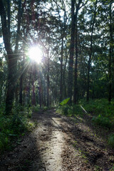 Fototapeta premium el terrero