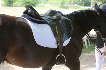 Photo of old leather saddle with stirrups