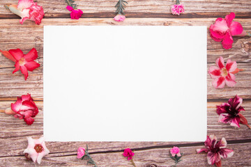 Pink azalea flowers and empty paper sheet.spring border pink blossom,Round frame of pink flowers, top view. Blank template for your text. flat lay.
