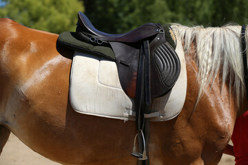 Photo of old leather saddle with stirrups