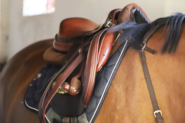 Photo of old leather saddle with stirrups