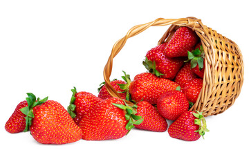 Ripe fresh strawberry in wicker basket. Scattered berries