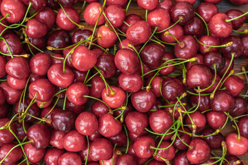 a lot of ripe cherries with branches
